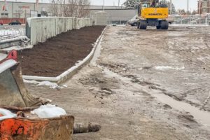 Herstellen einer Ausgleichsfläche am Hannover Lindener Hafen
